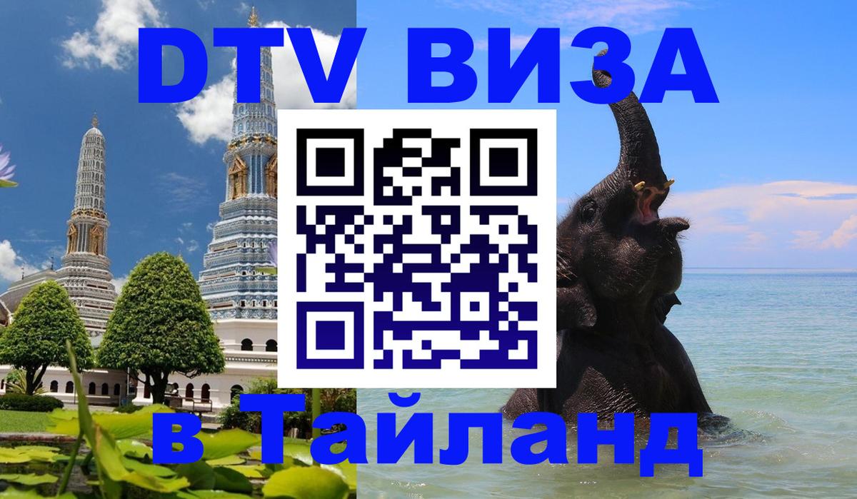 Сколько стоит DTV виза — актуальные цены, оформление даже без документов - Сураттхани 